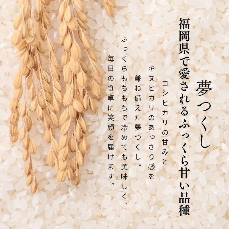 【令和7年産】福岡県飯塚市産 夢つくし 10kg(無洗米)【C8-023】