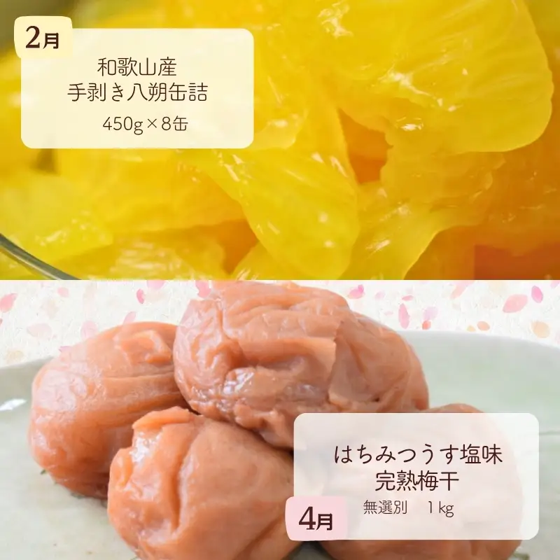 【定期便】【偶数月発送】【全6回お届け】 和歌山のこだわり　季節の定期便 【tkb423】