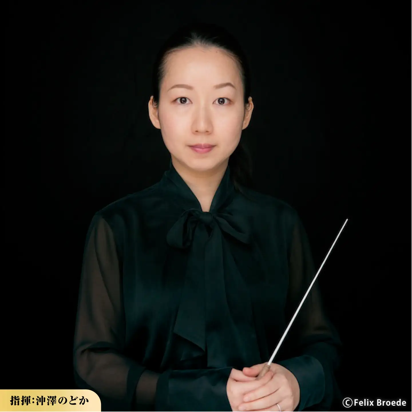 チケット オーケストラ福山定期Vol.16 京都市交響楽団 B席ペア 2026年11月23日(月・祝)16時開演 [BAFS030] チケット