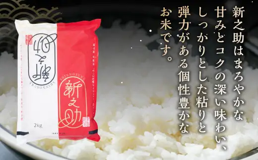 【令和7年産米】【6ヶ月定期便】村上市産 新之助 36kg （6kg×6ヶ月）コース 1027037
