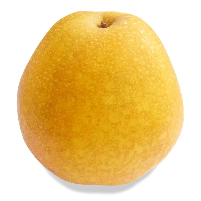 【期間限定】鳥取県産 王秋梨 “赤秀” 5kg（6〜8玉入）【梨 赤梨 赤秀 王秋 王秋梨 おうしゅうなし 5kg 6～8玉 期間限定 なし ナシ 晩生梨 果物 くだもの フルーツ 旬 厳選 高糖度 甘い 贈り物 ギフト お取り寄せ 産地直送 鳥取県】
