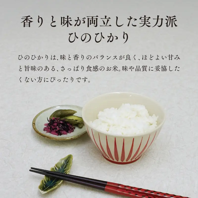 《令和8年度産 先行予約》【数量・期間限定】井野農園のひのひかり 米 ご飯 ごはん おにぎり 新米