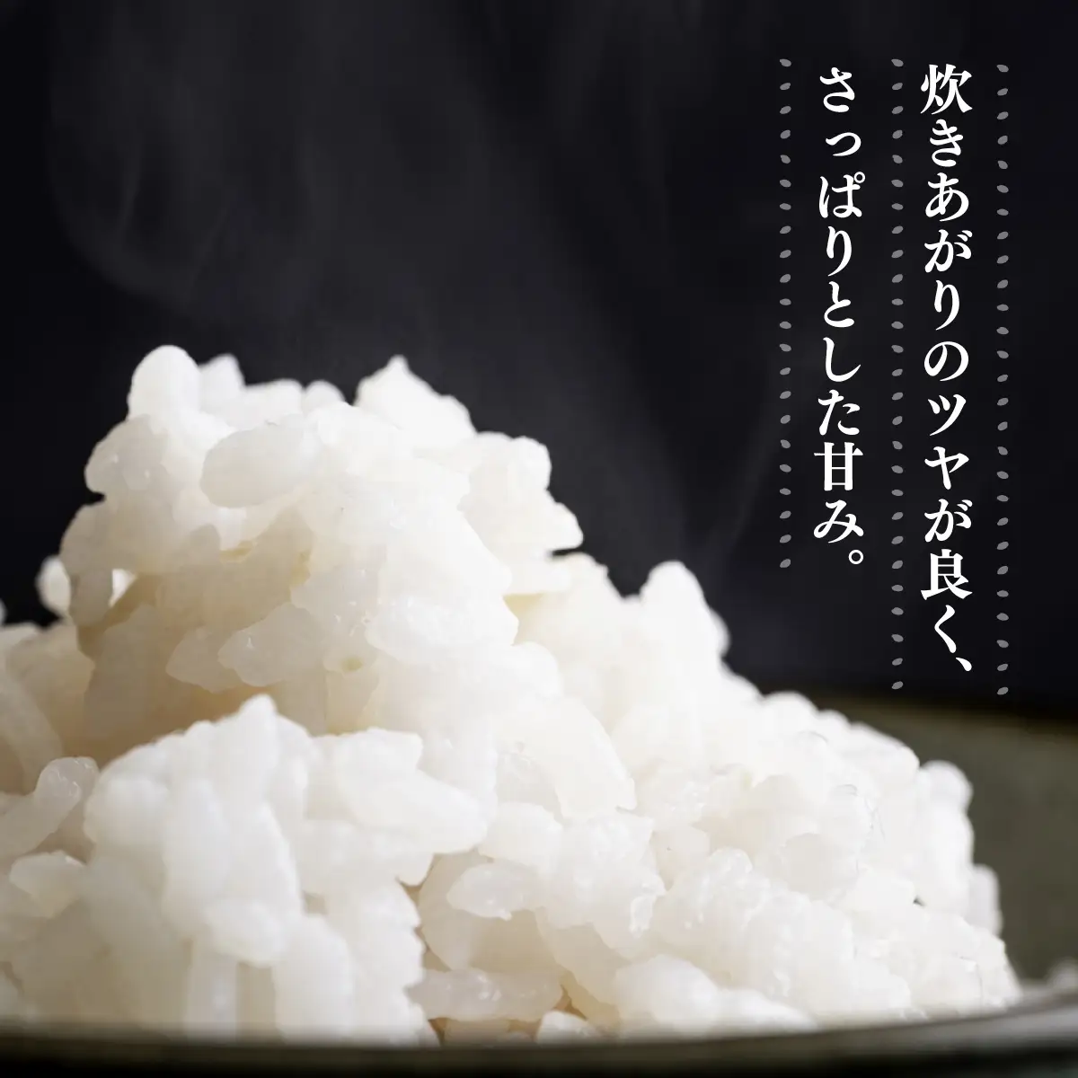 米 R7年産 彩のかがやき 5kg 2週間以内発送 | 米