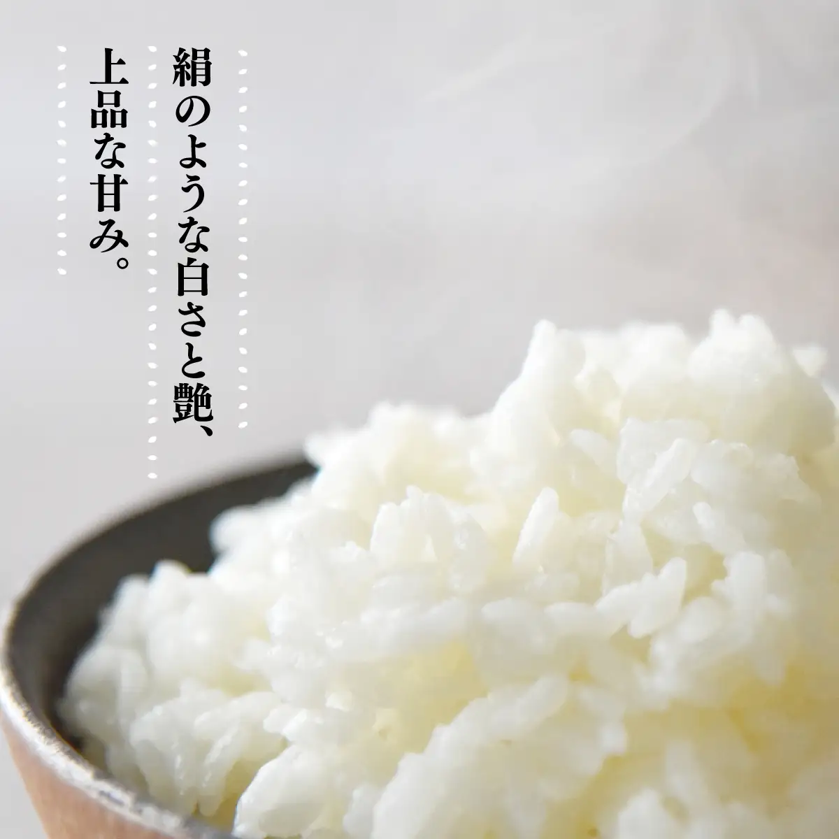 米 R7年産 きぬひかり 5kg 2週間以内発送 | 米
