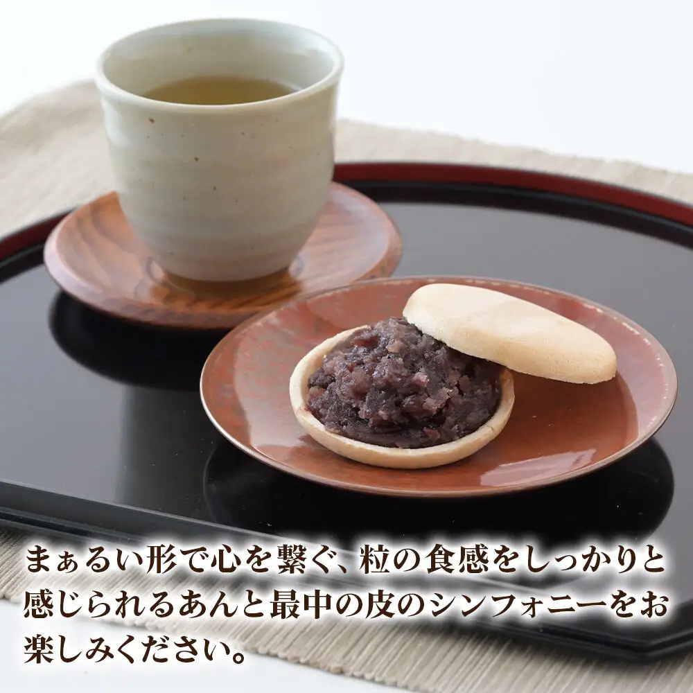 竹うちもなか 小豆 10個入 最中 秋田銘菓 お菓子のくろまる 秋田 美郷町