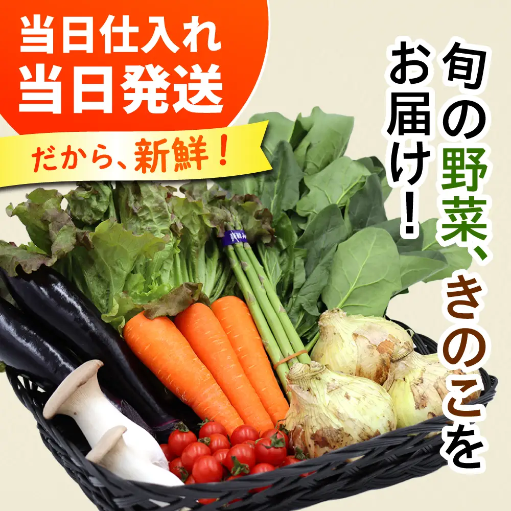 【12回定期便】野菜定期便 8品目 [SCZ030]