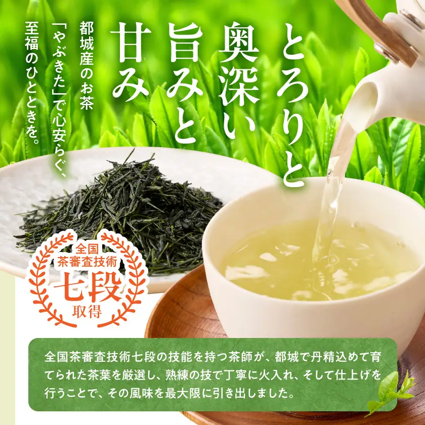 都城産のお茶「やぶきた」(煎茶)≪みやこんじょ快速便≫〔AA-C3-012-R〕_(都城市) 都城産 お茶 やぶきた 煎茶 茶葉 化粧箱 贈答品  茶圃斉光園 14日以内お届け