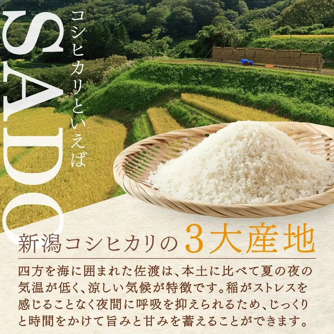 【先行予約 定期便 5kg 3回 コシヒカリ】白米 令和8年 | 新潟県 佐渡市 コシヒカリ
