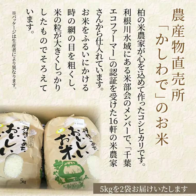 コシヒカリ 千葉県産 精米 コシヒカリ【10kg】