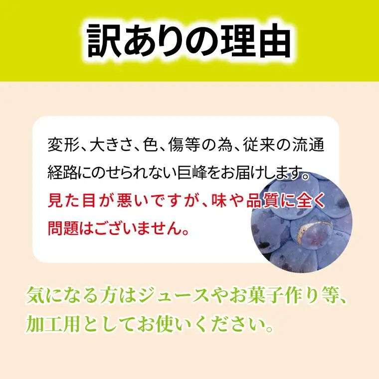 巨峰 訳あり 種なし 千葉県産 巨峰【4パック】【先行予約】