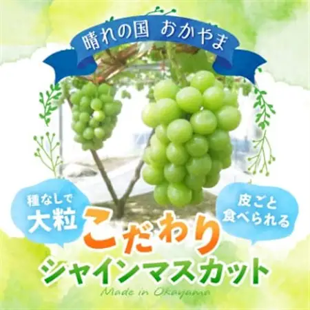 【2026年先行受付】岡山県美作市産　シャインマスカット　2kg(3～5房)【配送不可地域：離島】【1109316】