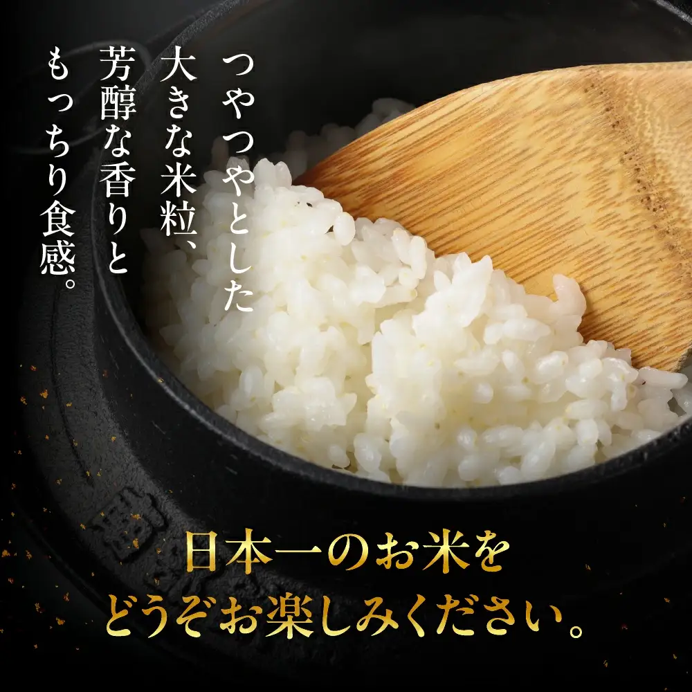 先行予約【2026年産米】（2027年7月発送）2kg×1袋 飛騨産・龍の瞳(いのちの壱) 株式会社龍の瞳直送【14-1【7】】