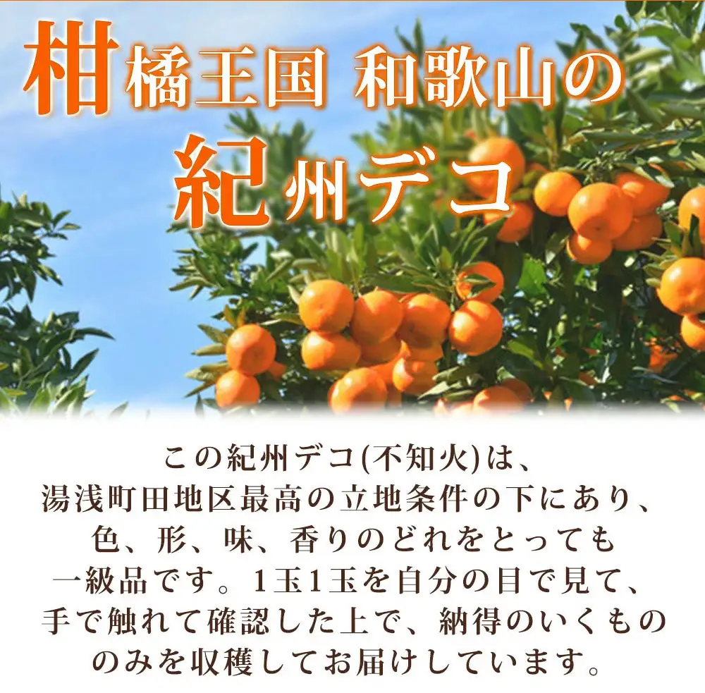 高級ブランド田村の完熟紀州デコ(不知火)約8kg　※2027年3月上旬～3月中旬に順次発送予定(お届け日指定不可)【uot867】