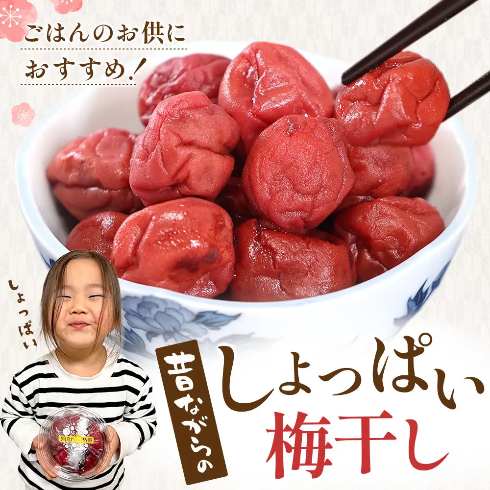 【先行予約】＜訳あり＞宮城県角田産 無添加 まごころ手作り梅干し1.6kg（800g×2）【10月上旬以降順次発送】｜梅干し すっぱい 訳あり