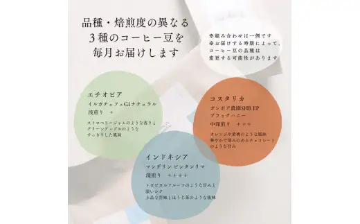 【定期便：3ヶ月連続でお届け】高品質シングルオリジンコーヒー・ドリップバッグ3種セット （1袋あたり11個×3品種）×3ヶ月 1075030　コーヒー 珈琲 ドリップ