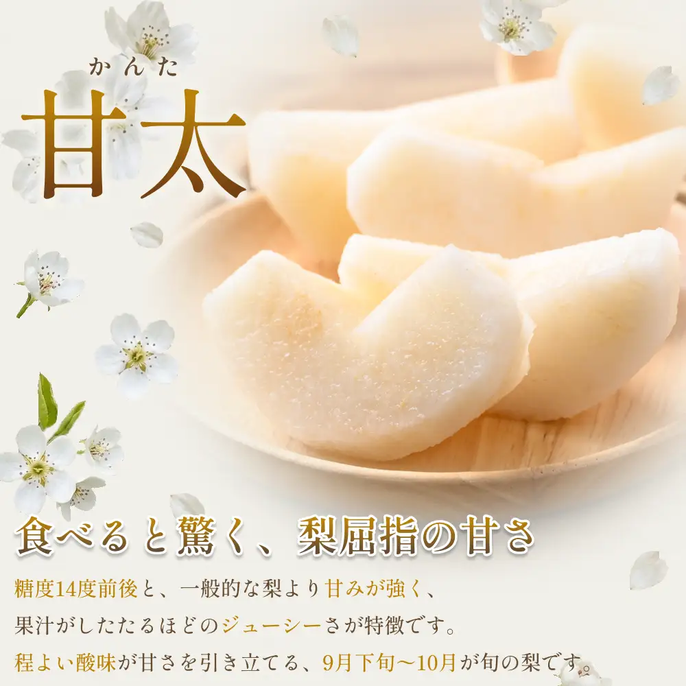 【先行予約】中野農園 梨 ”甘太（かんた）” 5kg箱｜鳥取 岩美 梨 なし ナシ 果物 フルーツ ※お届けは2026年10月中旬～【41087】