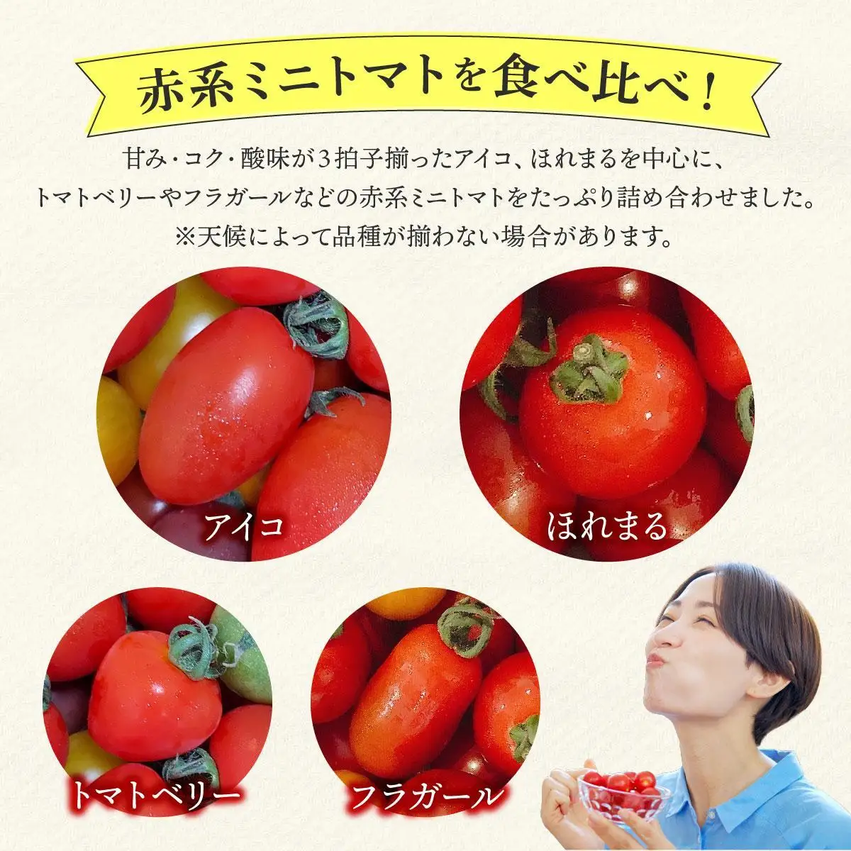 ＜先行予約＞赤系ミニトマトMix(たっぷり4kg)
【ffk-005】