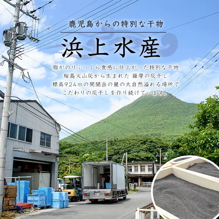桜島の火山灰で鹿児島県産かつおの腹身を一晩熟成 旨味が詰まった『薩摩の灰干し』かつおの腹身6P (浜上水産/IB038-008) 