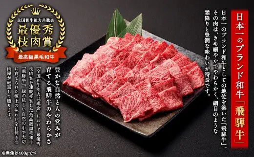飛騨牛 焼肉用 モモ肉 800g （ A5等級 ） 