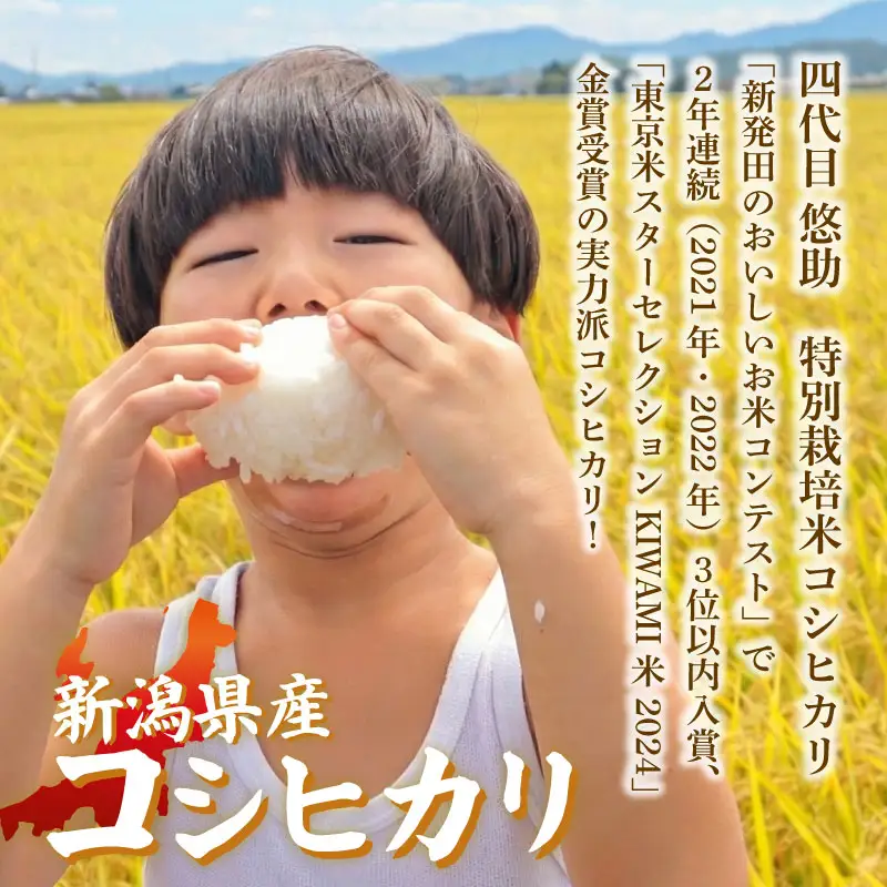 先行予約 令和8年産 コシヒカリ 定期便 10kg 3回 30kg 特別栽培米 コンテスト 入賞 【 コンテスト 入賞米 米 おこめ お米 ブランド米 ご飯 ごはん オニギリ お弁当 kome 送料無料 数量限定 農家直送 産地直送 国産 川瀬農園 四代目 悠助 新潟 新発田 kwsKH 】　
