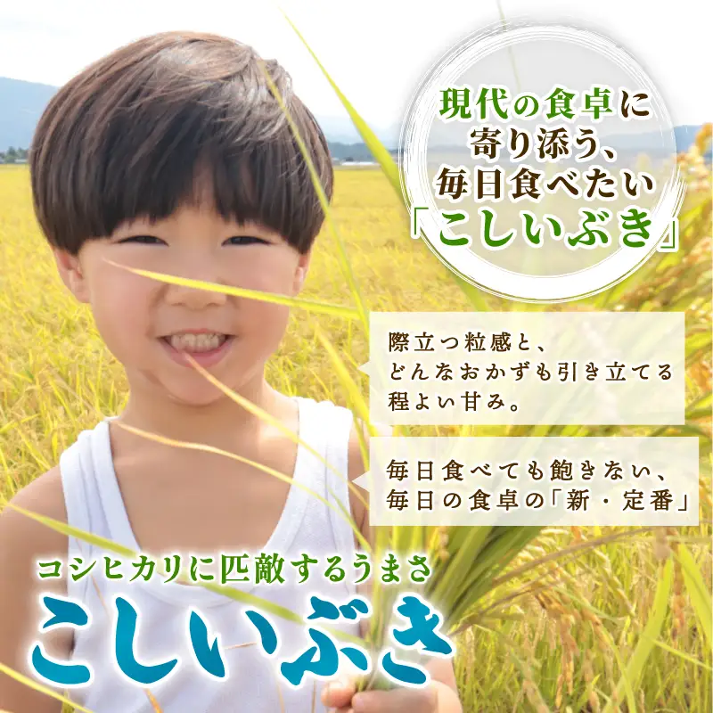 令和8年産 こしいぶき 定期便 10kg 3回 30kg 新潟 先行予約 新米 3か月 越後の新しい息吹 コシヒカリ の遺伝子を引き継ぐ 米 おこめ お米 ご飯 ごはん オニギリ お弁当 kome 送料無料 数量限定 農家直送 産地直送 国産 川瀬農園 四代目 悠助 新潟 新発田 kwsKI