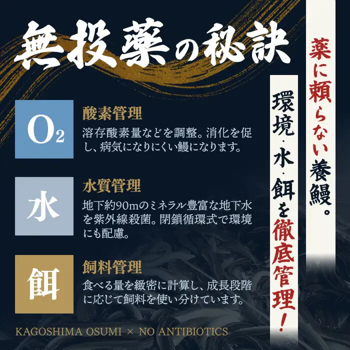 うなぎ 鹿児島県産 蒲焼 うなぎ 【薩摩川内鰻】  A1114