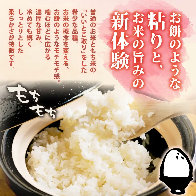 【令和8年産 先行予約】ミルキークイーン 10kg 5kg×2袋 3か月 定期便 新潟県産 3カ月 3回 特栽米 特別栽培米 ミルキー 新発田産 新潟 ふるさと納税 米 お米 アグリ中俵 特別栽培米 白米 米 お米 こめ コメ ライス ご飯 ごはん 美味しい 贈り物 国産 新潟県 新発田市 お取り寄せ 産地直送 nakatawaraMK003_2
