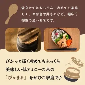 ＜数量限定＞【令和8年産】【超早場米】 低アミロース 米『 ぴかまる 』10kg（5kg×2）_K028-003-R8