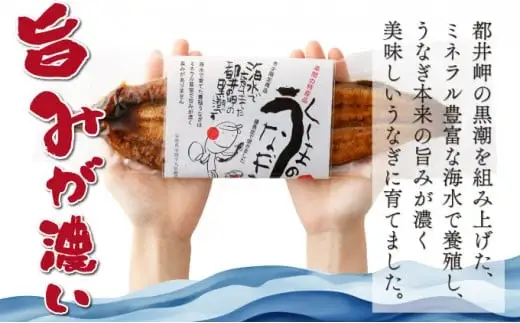 くしまの黒潮うなぎ蒲焼小4尾（合計560g前後）_K023-006