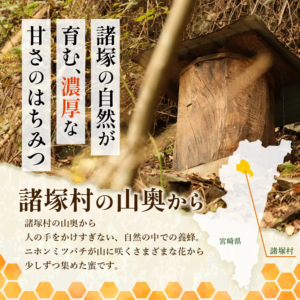 はちみつ 山の蜜 200g×1本 冷蔵｜国産 蜂蜜 百花蜜 ニホンミツバチ 希少 自然養蜂 瓶 もろっこはうす 宮崎県 諸塚村 MO-01