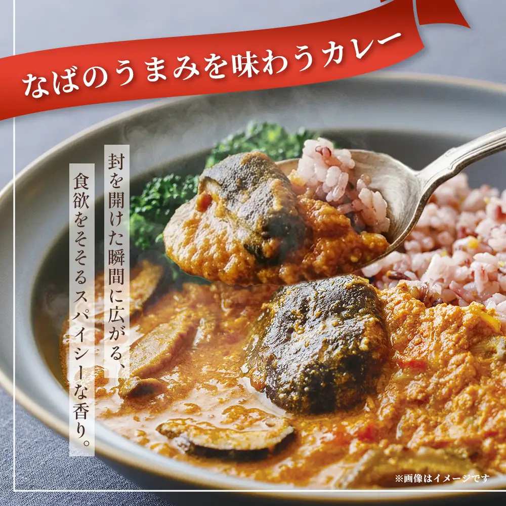 NABA バターチキンカレー 4食 セット 常温｜カレー レトルトカレー カレーライス なば しいたけ 椎茸 レトルト 簡単調理 常備 備蓄 おかず アレンジ 家庭用もろっこはうす 宮崎県 諸塚村 MO-35