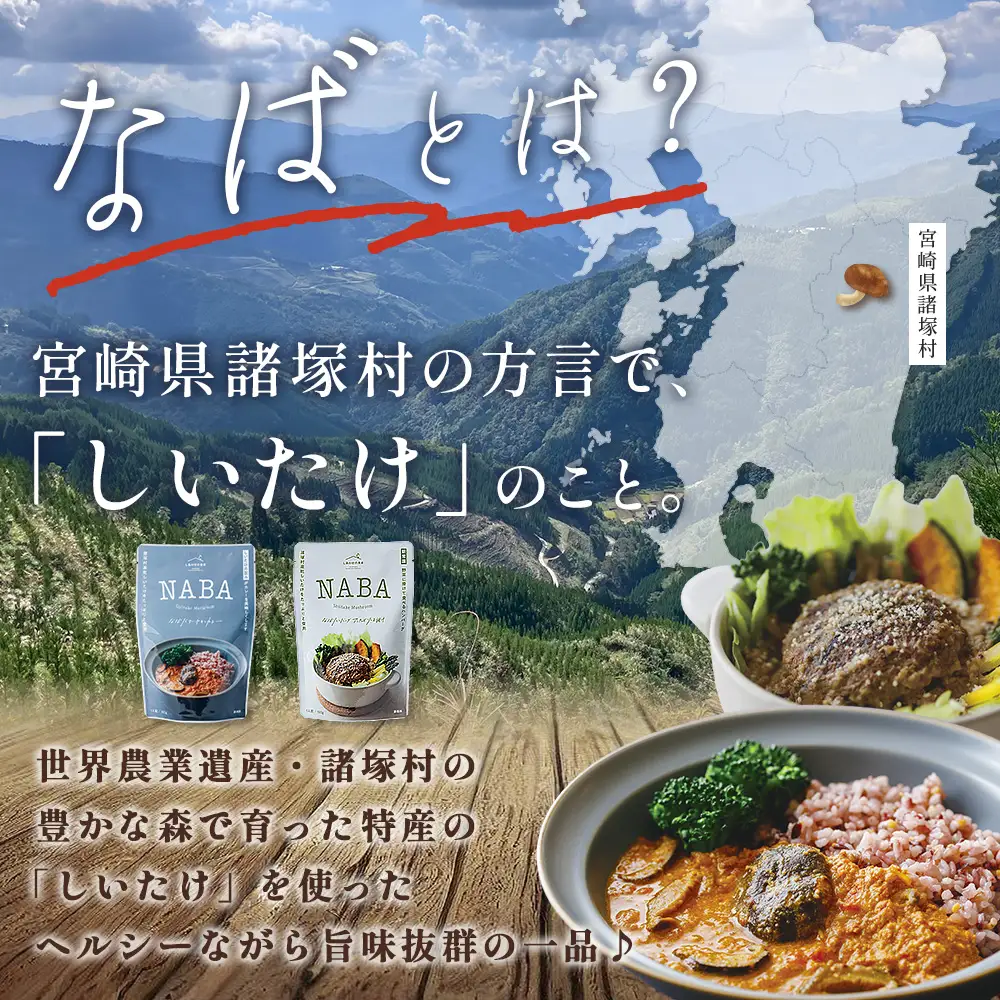 NABAカレー バターチキンカレー＆ハンバーグアンチョビソース掛け セット 2種各2食 計4食 常温｜レトルトカレー カレーライス なば しいたけ 椎茸 ハンバーグ アンチョビ レトルト 簡単調理 常備 備蓄 おかず アレンジ 家庭用もろっこはうす 宮崎県 諸塚村 MO-37