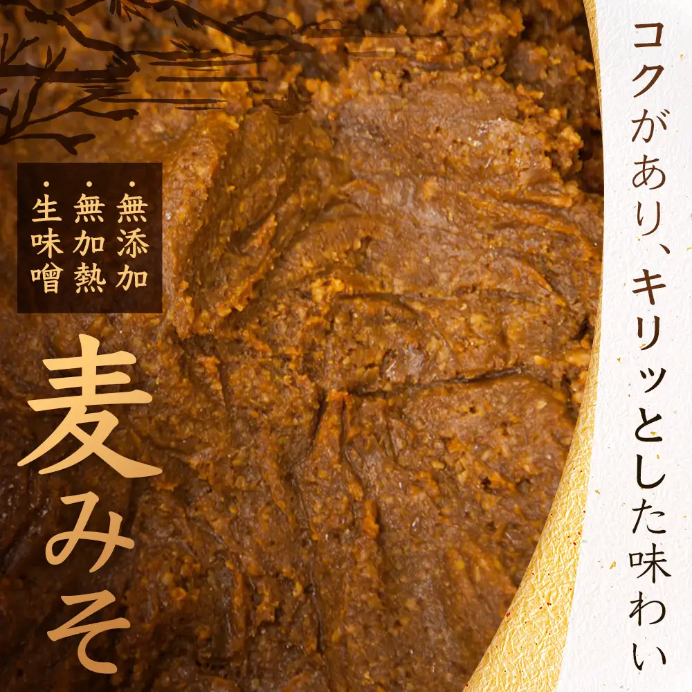 【婦人会で受け継がれるふるさと味噌】麦みそ 七ツ山みそ 800g×2袋 常温｜味噌 生味噌 麦味噌 麹 米麹 熟成 手作り 味噌汁 調味料 発酵食品 産地直送 もろっこはうす 宮崎県 諸塚村 MO-39