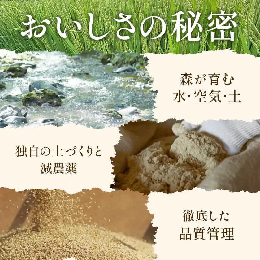 令和7年産 特別栽培米 ゆめぴりか＆ななつぼし 各5kg 計10kg 北海道