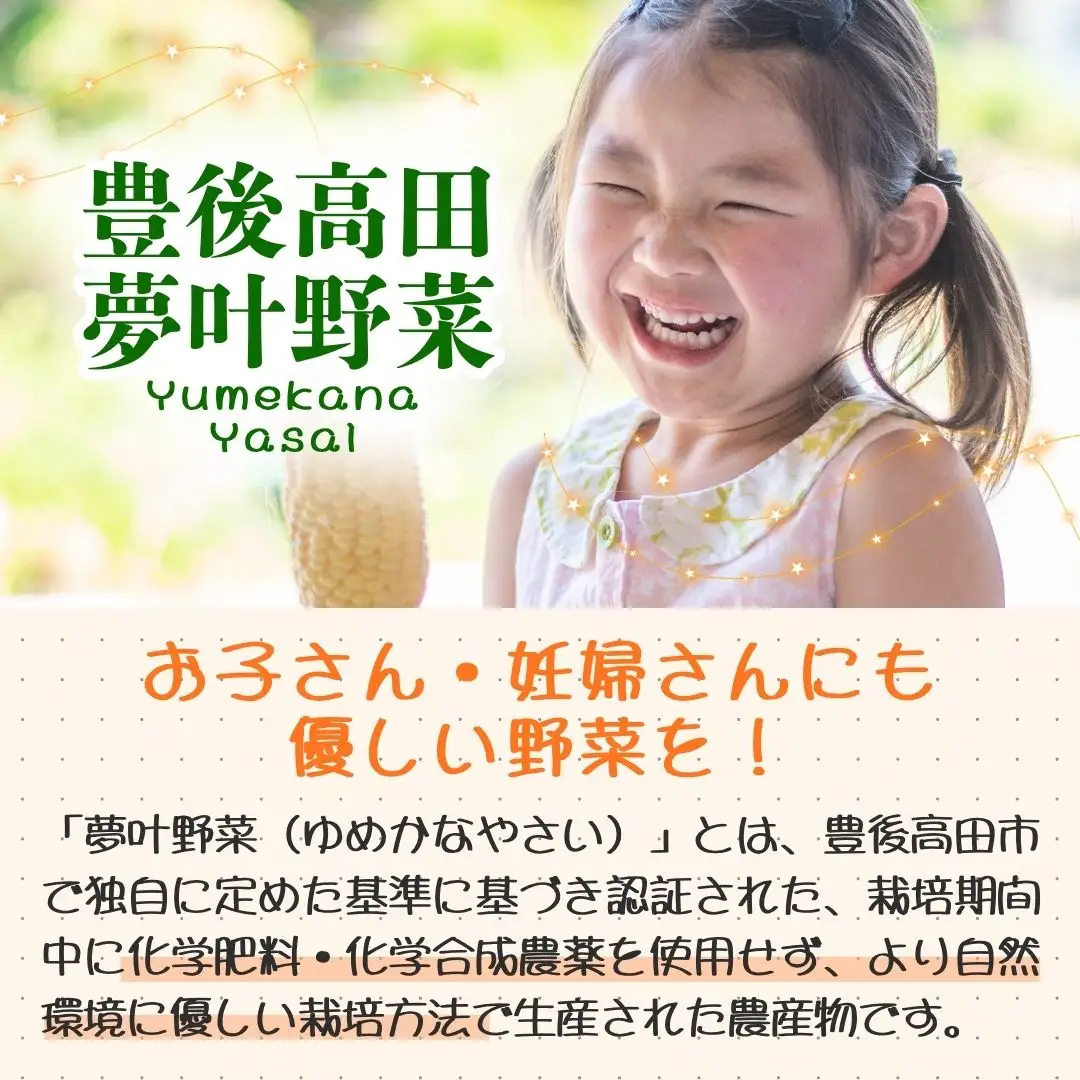 季節の夢叶 夏 野菜・米ボックス | 夏野菜 豊後高田市