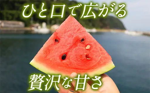 スイカ 10kg以上 萩・夏の銘品 相島 西瓜 秀品 大玉すいか フルーツ 果物 果物類 贈答品 ギフト