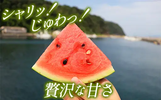 相島すいか