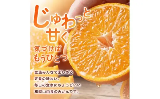 温州みかん 10kg (サイズおまかせ) ※2026年12月中旬～2027年1月下旬に順次発送予定 ※北海道・沖縄・離島配送不可 / ミカン 蜜柑 フルーツ 果物 柑橘 果実 由良町 国産 産地直送 和歌山県 【eiw004-r-10A】