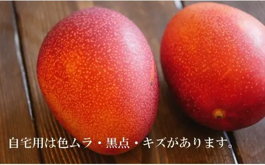 【先行予約!2026年7月より順次発送】 清水果樹園 自宅用 マンゴー 約1kg