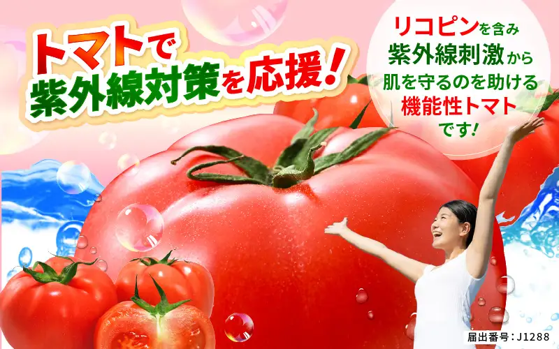 みつぼしトマト リコピン 約400g × 2袋 (計800g) とまと 機能性表示食品 野菜 [A-2615]