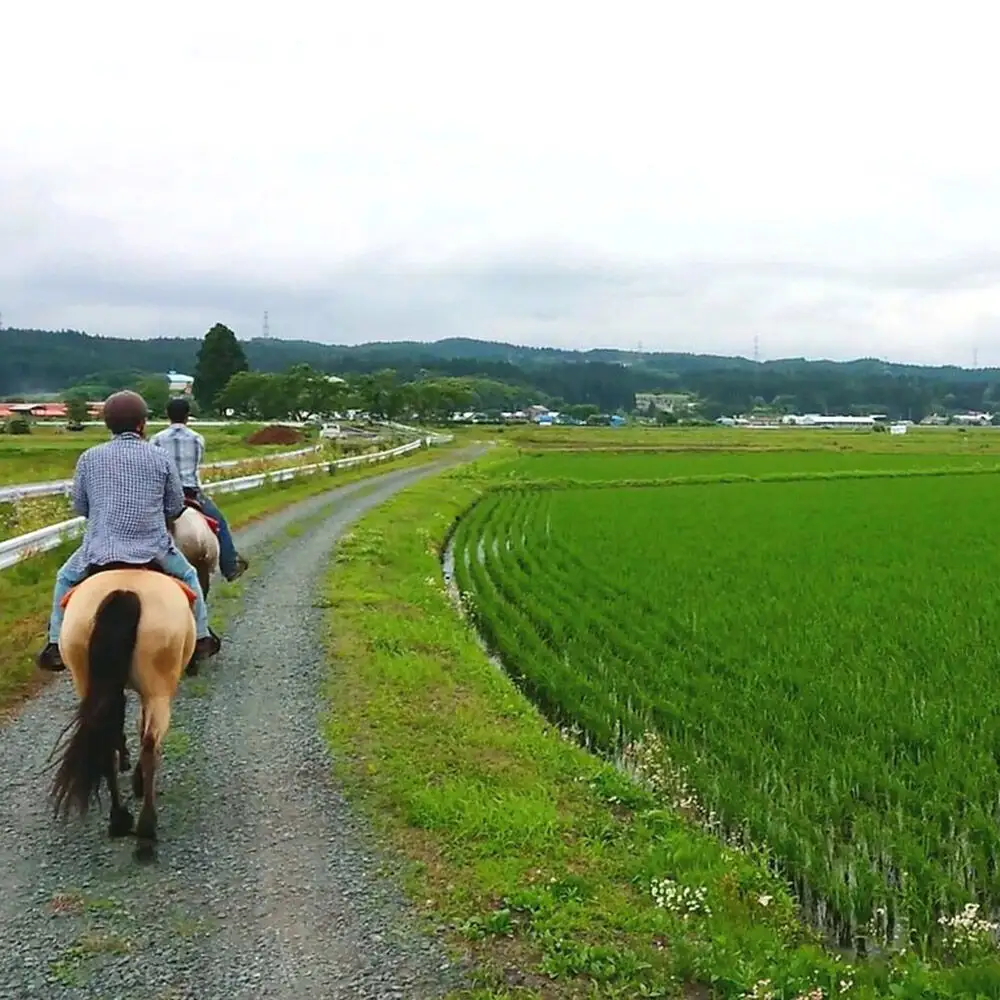 「駒の里」十和田で乗馬トレッキング45分（1名様分） レターパックプラス 青森県十和田市