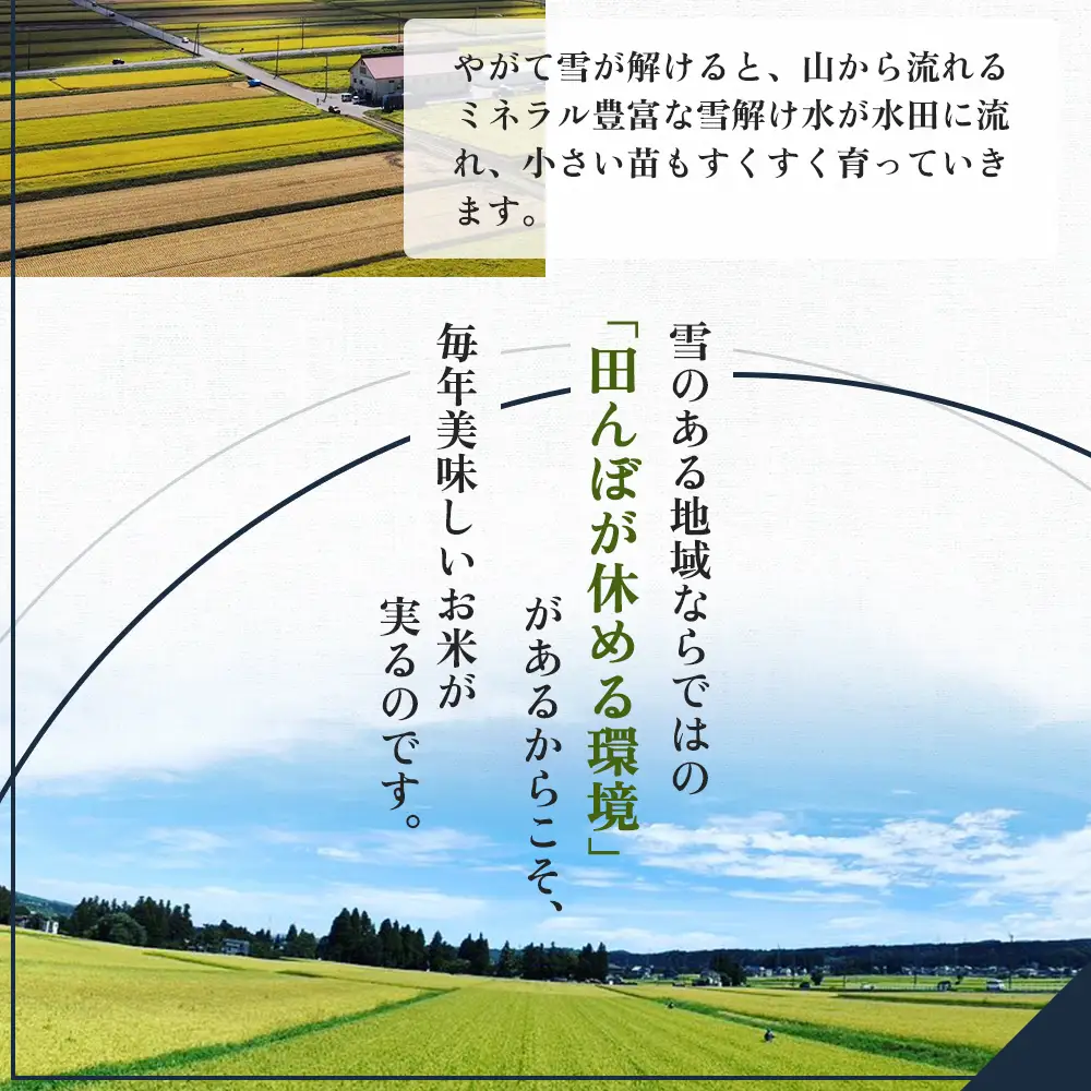 【先行予約】令和8年産 定期便 新之助精米5kg×6カ月