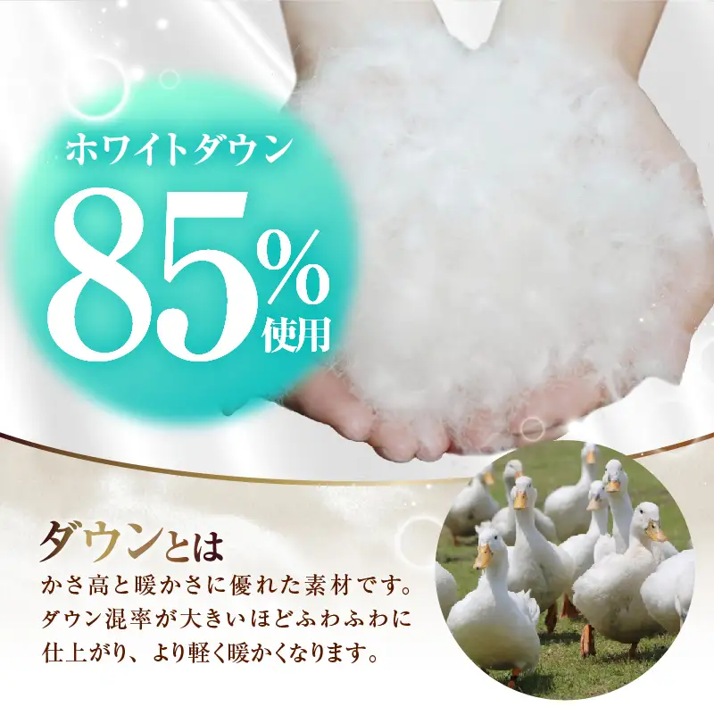 【クイーン】羽毛肌掛けふとん　軽量素材　スーパーTTC