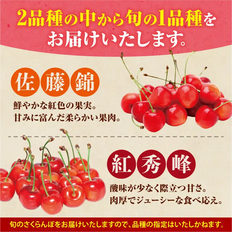 【先行予約：2027年6月下旬以降発送】令和9年産 さくらんぼ【LM～2Lバラ詰め】180g×4【余市ふるさと納税推進センター】_Y160-0001