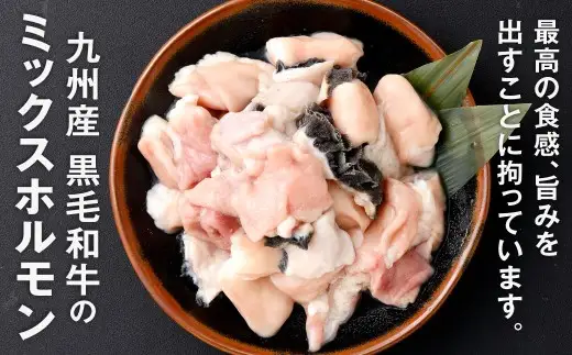 ミックスホルモン 約1.5kg（約500g×3パック）ホルモン 九州産 ミックス 丸腸 赤センマイ はちのす 小腸 冷凍 福岡県 北九州市