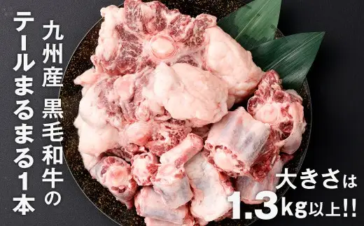 九州産 黒毛和牛テール まるまる1本売り 肉 お肉 にく ニク 冷凍 福岡県 北九州市