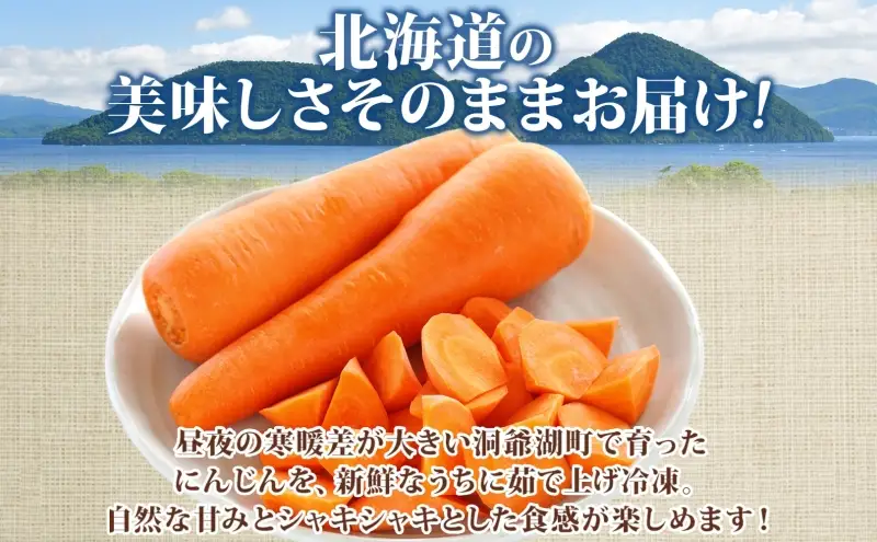 にんじん 冷凍カット野菜 訳あり 北海道産 にんじん【600g×2袋】【冷凍】