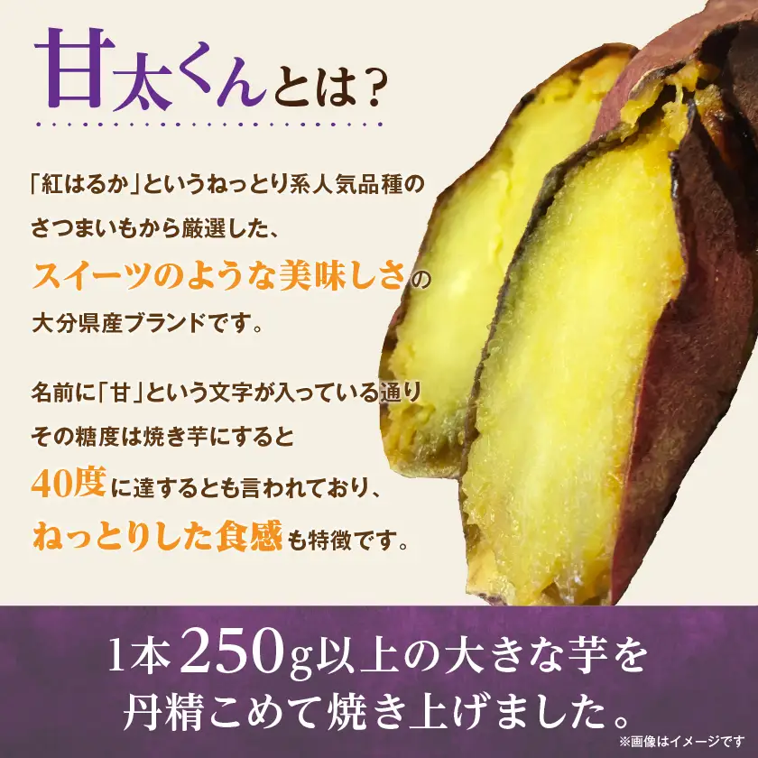 【11月下旬より順次発送】冷凍焼き芋「甘太くん」250g×5本　計1.25kg【配送不可地域：離島】【1731780】