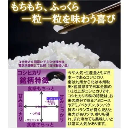 令和7年産　宮城県産コシヒカリ 精米10kg【1726800】