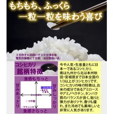 令和7年産　宮城県産コシヒカリ 7分づき精米　10kg【1726804】
